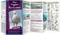 New England Beachcomber (Pocket Naturalist® Guide).