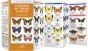 Colorado Butterflies & Moths (Pocket Naturalist® Guide).