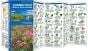 Connecticut Trees & Wildflowers (Pocket Naturalist® Guide)