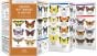 Kansas Butterflies & Moths (Pocket Naturalist® Guide)