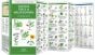 Kansas Trees & Wildflowers (Pocket Naturalist® Guide)