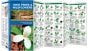 Ohio Trees & Wildflowers (Pocket Naturalist® Guide)