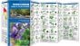 Wisconsin Trees & Wildflowers (Pocket Naturalist® Guide).