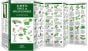 Alberta Trees & Wildflowers (Pocket NaturalistÃƒâ€šÃ‚Â® Guide).