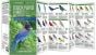 Backyard Birds: Western North America (All About Birds Pocket Guide®)