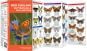 New England Butterflies & Pollinators (Pocket Naturalist® Guide)