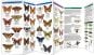 New England Butterflies & Pollinators (Pocket Naturalist® Guide)