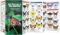 Butterflies & Pollinators of North America (Pocket Naturalist® Guide)