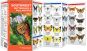 Southwest Butterflies & Pollinators (Pocket Naturalist® Guide)