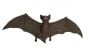 Bat (Brown) Model