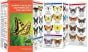 North Carolina Butterflies & Pollinators (Pocket Naturalist® Guide)