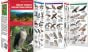 Great Smoky Mountains Birds, 2nd Edition (Pocket Naturalist® Guide)