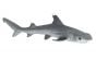 Shark (Whitetip Reef) Model