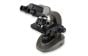 Carson Compound Binocular Microscope (40x-1600x)