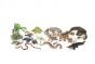 Reptiles & Amphibians Model Collection (Discounted Set of 18 Models)