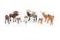 Deer Family Model Collection (Discounted Set of 9 Models)