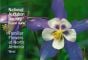 Western Flowers (Audubon Society Pocket Guides)