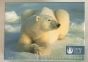 Polar Bears Holiday Boxed Notes