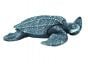 Sea Turtle (Leatherback) Model