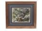 Gray Squirrel Framed Print (8" x 10")