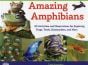 Amazing Amphibian: 30 Activities and Observations for Exploring Frogs, Toads, Salamanders, and More