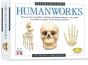 Humanworks Casting Kit