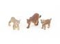 Felines (Cat Family) Model Collection (Discounted Set of 3 Models)
