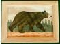 Black Bear Wood Box (4 X 5)