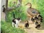Duck Inspector (200 Piece Puzzle)