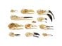 Birds 2D Skull Model® Collection (Discounted Set of 12 Skull Models)