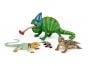 Lizards Model Collection (Discounted Set of 4 Models)