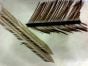 Feathers, three types (prepared microscope slide)