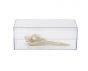 Waterbird Skull Collection with Discounted Museum Display Cases