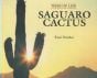 Webs Of Life: Saguaro Cactus