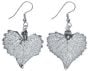 Cottonwood Leaf Silver Earrings