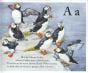Bird Alphabet Book (The)