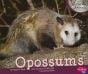 Opossums (Nocturnal Mammals Series)