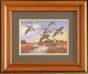 Canadian Geese “In At Dusk” Framed Print