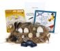 Bird Eggs and Feathers (Animal Signatures® Kit)