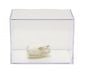 Reptiles Skull Collection with Discounted Museum Display Cases