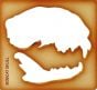 Bobcat Trace-A-Skull® Template