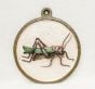 Painted Metal Grasshopper Wall Plaque.