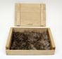 Coyote Kind Fur® (Boxed)