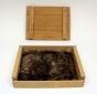 Bear (Grizzly) Kind Fur® (Boxed)