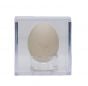 Dove (Rock) Egg Replica