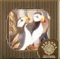Puffins Two Beaks