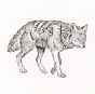Coyote Rubber Stamp