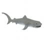 Shark (Megamouth) Model