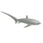 Shark (Thresher) Model