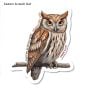 Eastern Screech Owl Sticker Pack (10 Stickers)